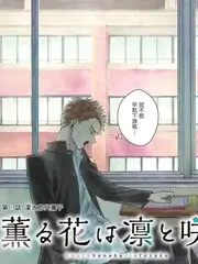 小马宝莉音乐特辑